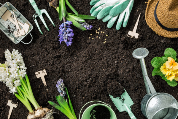 garden tips
